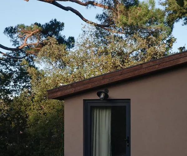 Frühstückspension A Padaria Cinfães